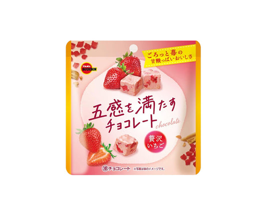 Chocolat japonais MINDFUL Rich goût fraise – 38g