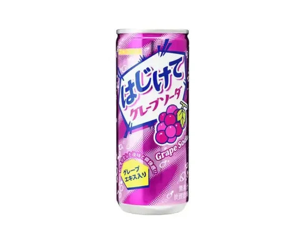 Soda Raisin 250ML