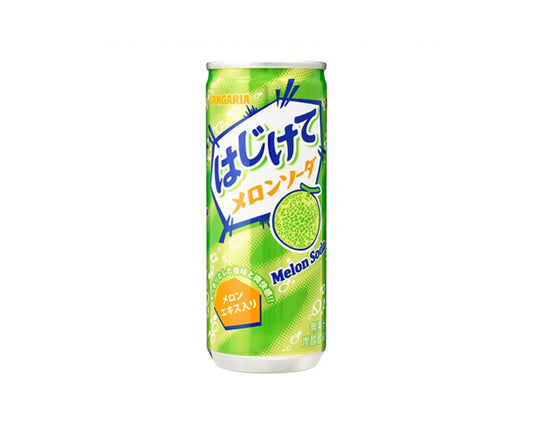 Soda Melon 250ML